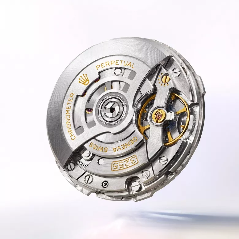 Rolex new watches 2024